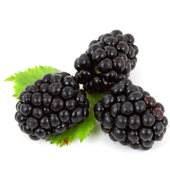 BLACKBERRIES