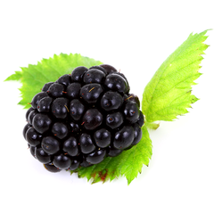 BLACKBERRIES