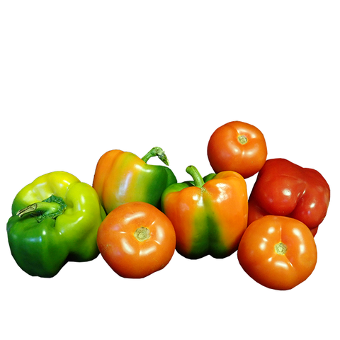 COLOURED CAPSICUMS MINI PACK